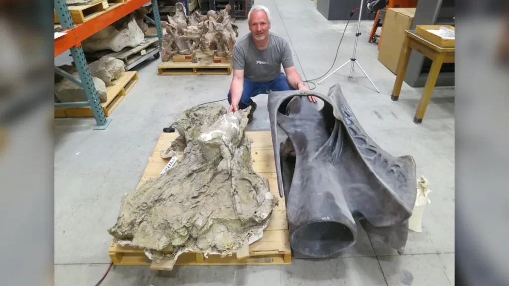 Mike Taylor shows a single neck vertebra of Supersaurus